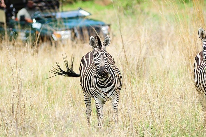 Cape Town, to Knysna 3 Days 3 Nights with Luxury Accommodation (4 Star)  - Photo 1 of 6